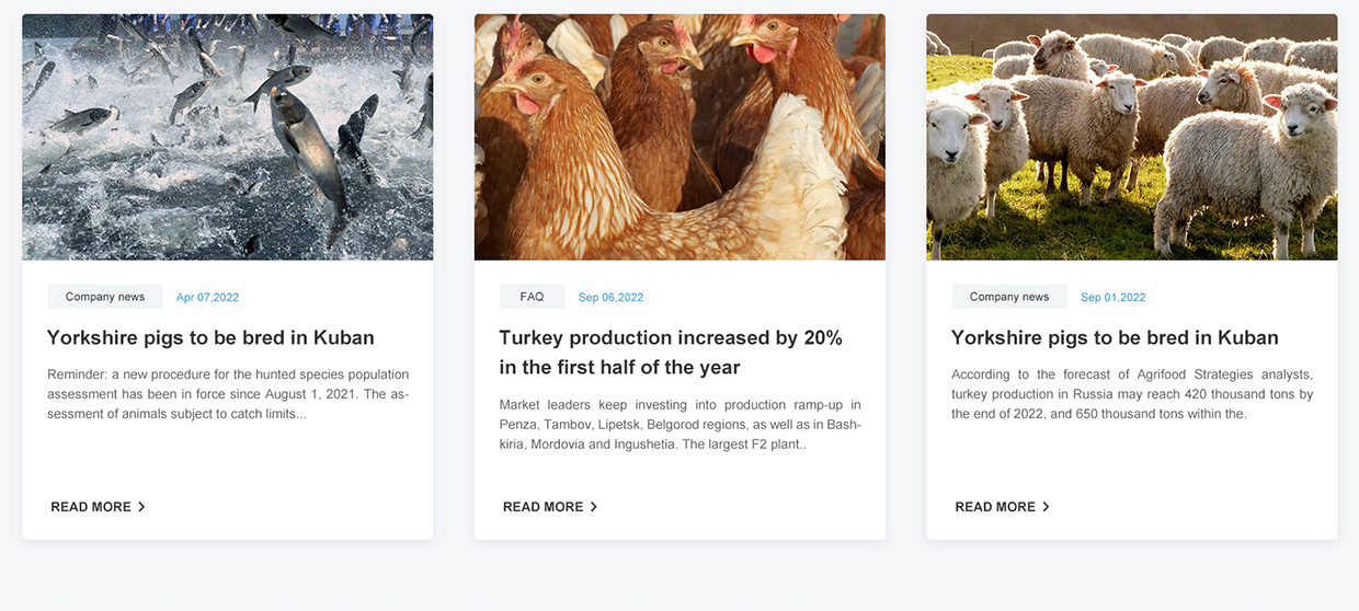 浙江日出藥業(yè)有限公司網(wǎng)站案例 浙江日出藥業(yè)有限公司網(wǎng)站案例