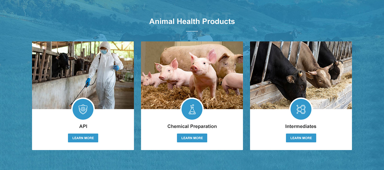 浙江日出藥業(yè)有限公司網(wǎng)站案例 浙江日出藥業(yè)有限公司網(wǎng)站案例